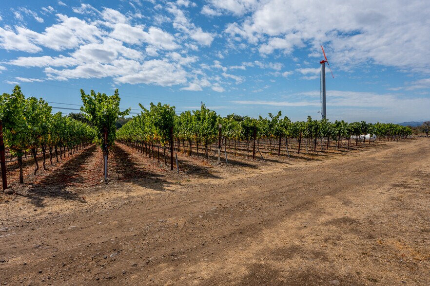 More Photos Of 3340 Lichau Rd, Penngrove Land For Sale