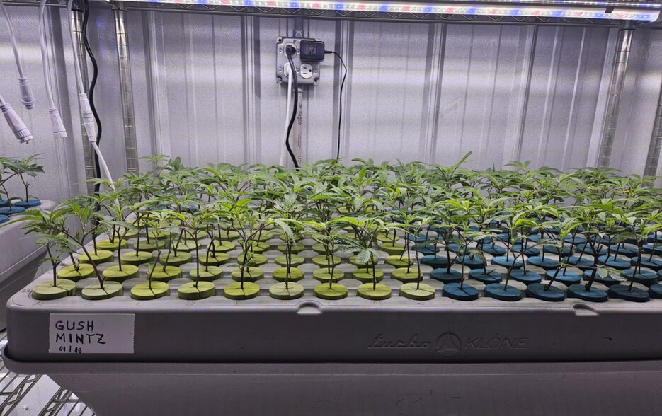 More Photos Of 609 Indian Rd, Seiling Auto Repair For Sale