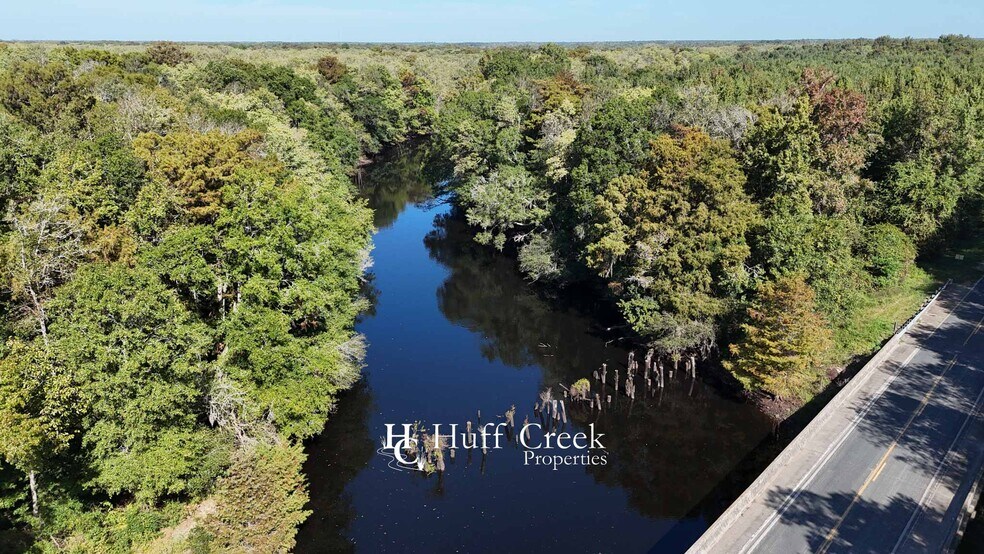 Primary Photo Of N Brewington Rd, Manning Land For Sale