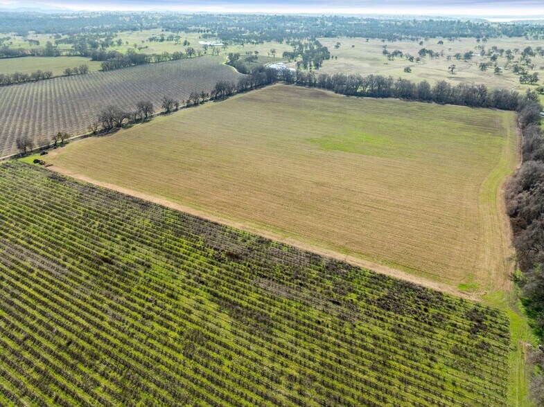 More Photos Of 3900 Jackson Valley Rd, Ione Land For Sale