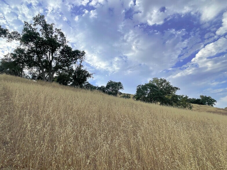 More Photos Of 0 E. 41 Hwy, Templeton Land For Sale