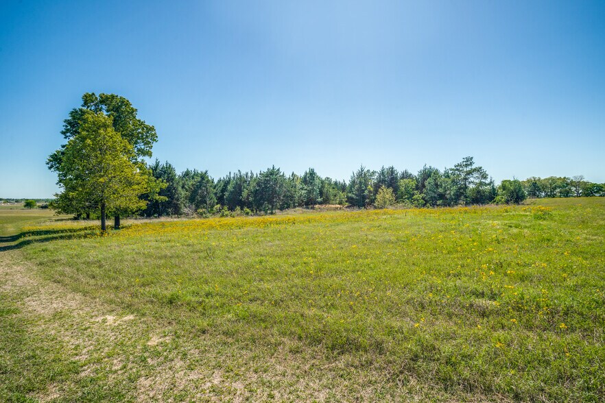 More Photos Of 300 VZ County Road 4718, Murchison Land For Sale