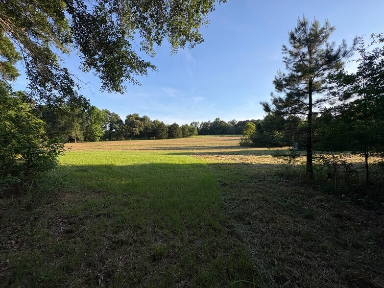 More Photos Of 33600 AL Highway 22, Verbena Flex For Sale