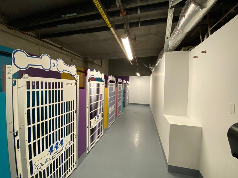 More Photos Of 1243 S Olive St, Los Angeles Apartments For Lease