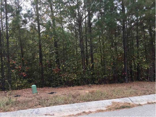More Photos Of Mill Run @ Mill Pond Way, Bremen Land For Sale