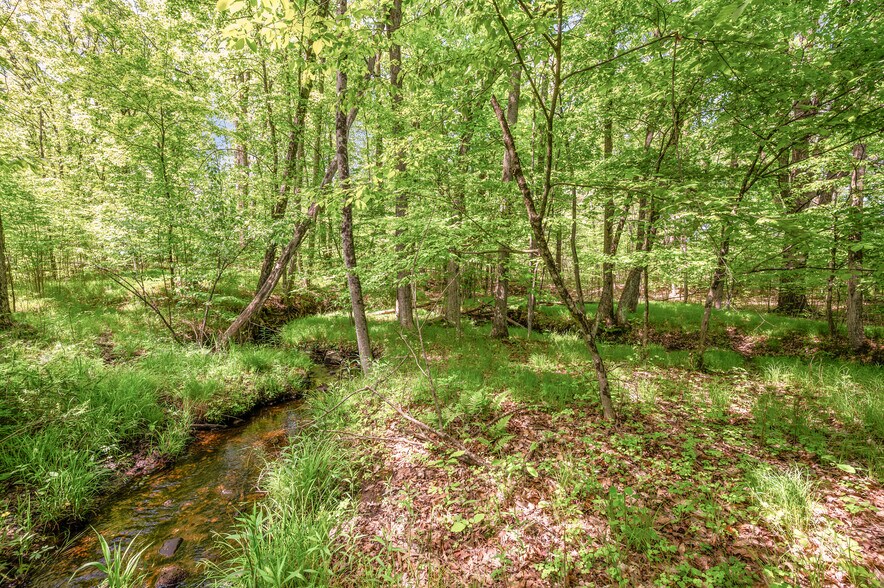 More Photos Of V/L 220th Ave, Big Rapids Land For Sale