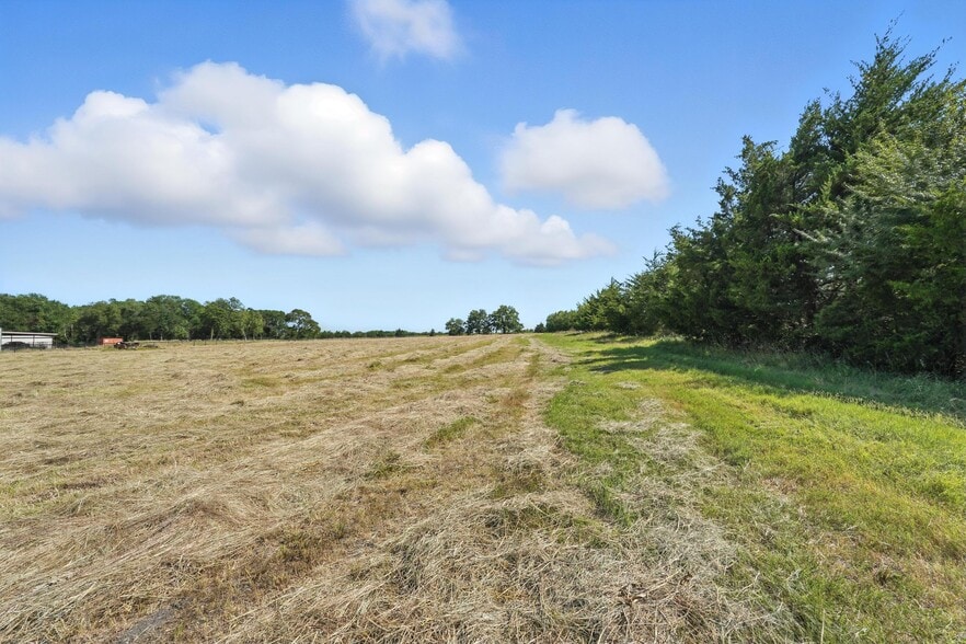 More Photos Of CR 1124 Rd, Farmersville Land For Sale