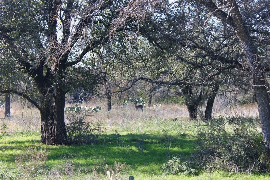 More Photos Of 2874 County 4630 rd, Kempner Land For Sale