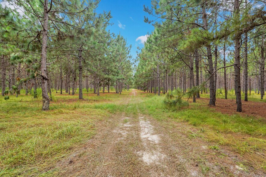 More Photos Of 2437 GA Highway 121, Glennville Land For Sale