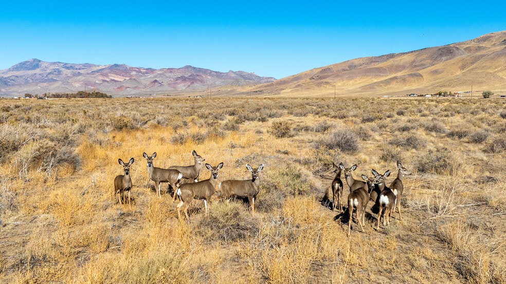 More Photos Of 5555 Sage Flat Rd, Reno Land For Sale