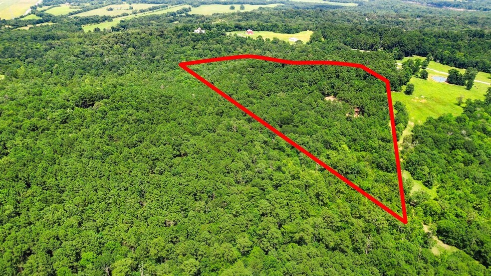 Primary Photo Of 268 Cedar Valley Rd, Coldspring Land For Sale