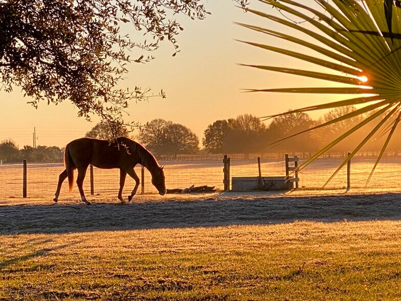 More Photos Of 12245 NE 56th Ave, Okeechobee Airplane Hangar For Sale