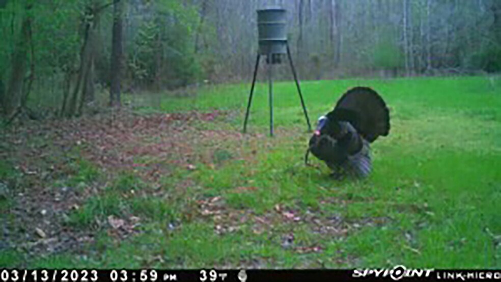 More Photos Of 2030 Longwood rd, Columbia Land For Sale