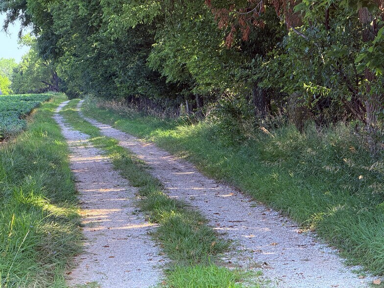More Photos Of Walnut Hill Ln. (36.31+/- Acres), Elsberry Land For Sale