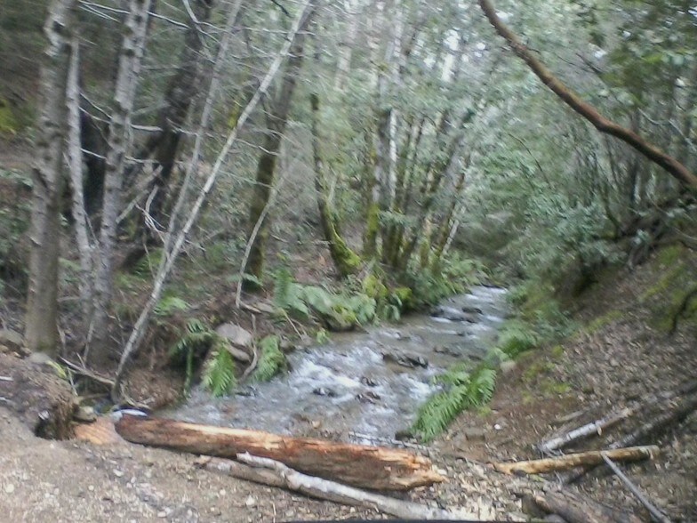 More Photos Of 49690 Highway 101, Laytonville Land For Sale