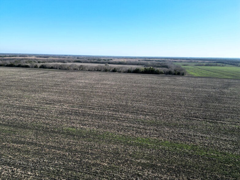 More Photos Of 99 ac County Road 4914, Ladonia Land For Sale