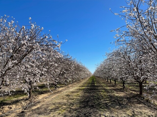 More Photos Of 10277 Road 28 1/2, Madera Land For Sale