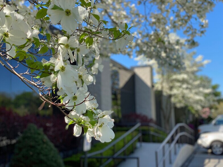 More Photos Of 13 Branch St, Methuen Medical For Lease