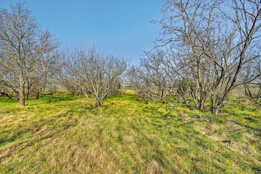 More Photos Of 12529 Old Kimbro Rd, Manor Land For Sale