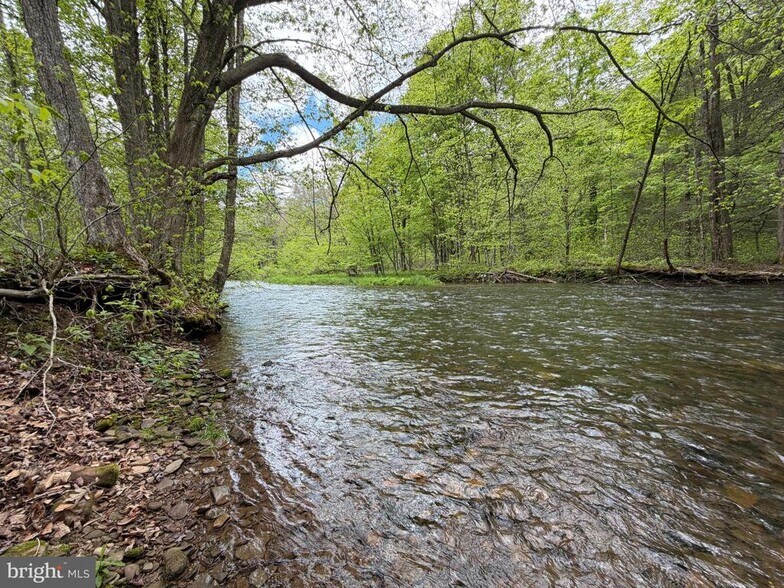 More Photos Of 1226-1227 Cross Fork Creek Rd, Cross Fork Land For Sale