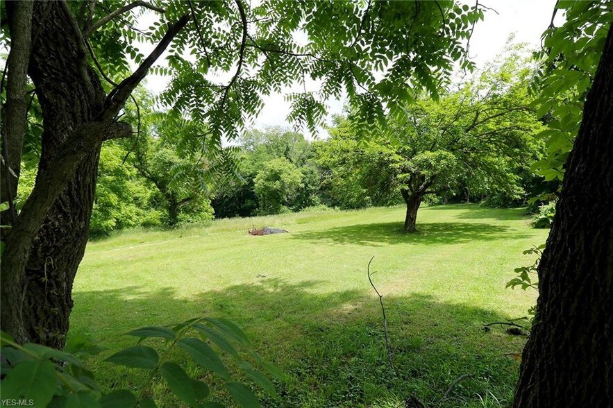 More Photos Of 145 Main St, Wintersville Land For Sale