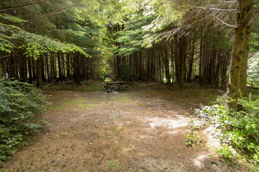 More Photos Of 20860 Hoko Ozette Rd, Clallam Bay Trailer Camper Park For Sale