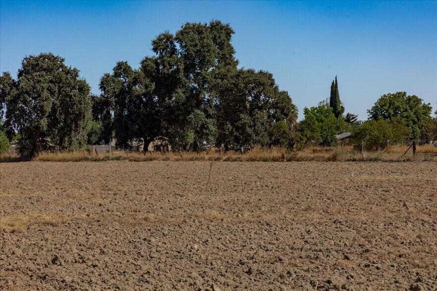 More Photos Of 1425 5th St, Colusa Land For Sale