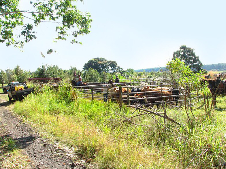 More Photos Of 27-5159 Puia Rd, Papaikou Land For Lease