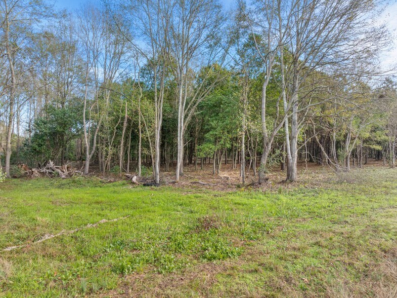 More Photos Of 1115 Evelyn Gandy Pky, Petal Land For Sale