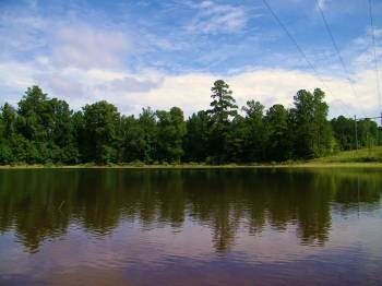More Photos Of 350 Cromer Rd, Lexington Land For Sale