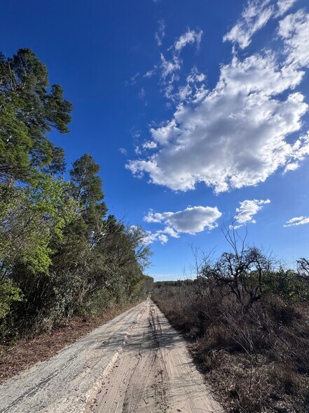 More Photos Of 16982 SE Highway 42, Weirsdale Land For Sale