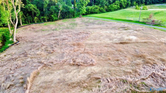 More Photos Of 10065 US Highway 431, Albertville Land For Sale