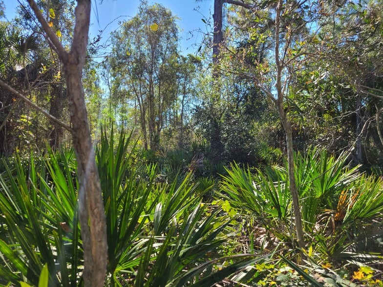 More Photos Of 17501 N Tamiami Trl, North Fort Myers Land For Sale