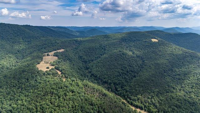 More Photos Of 22590 Criders Rd, Criders Land For Sale