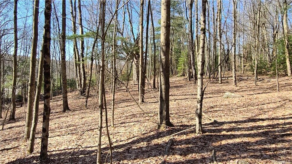 More Photos Of Old Route 17 @ County Route 174, Harris Land For Sale