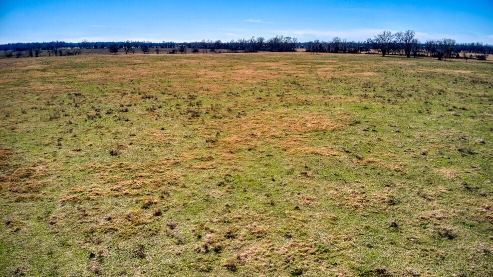 More Photos Of 42919 Addie Gee rd, Hempstead Land For Sale