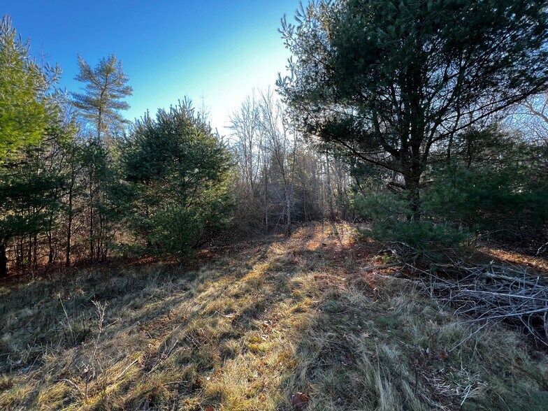 More Photos Of 480 Rear Wareham Street, Middleboro Land For Sale