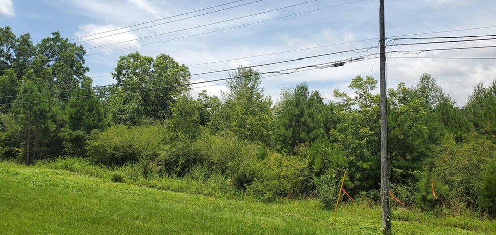 Primary Photo Of , Dothan Land For Sale