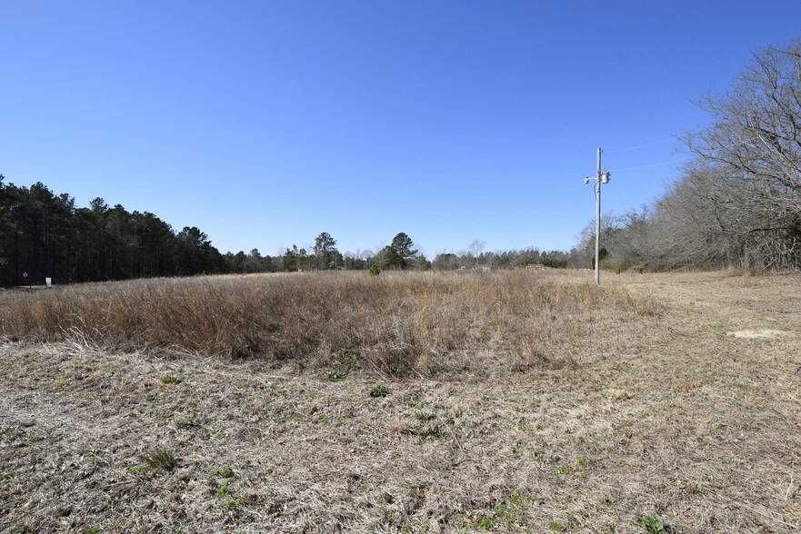 3289 Fayetteville Rd, Raeford, NC 28376 Land For Sale