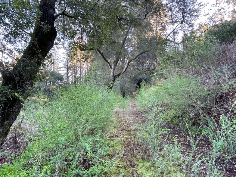 More Photos Of 18655 Black, Los Gatos Land For Sale