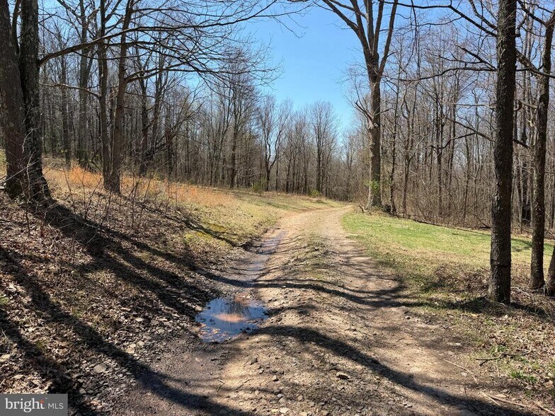 More Photos Of Tooland Rd, Fairhope Land For Sale