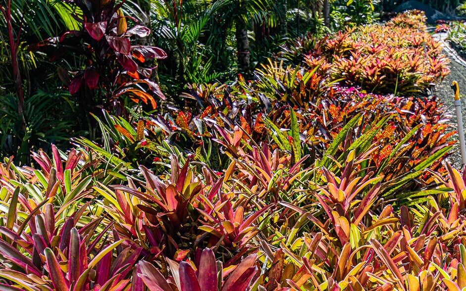 More Photos Of 27-2760 Hawaii Belt Rd, Pepeekeo Land For Sale