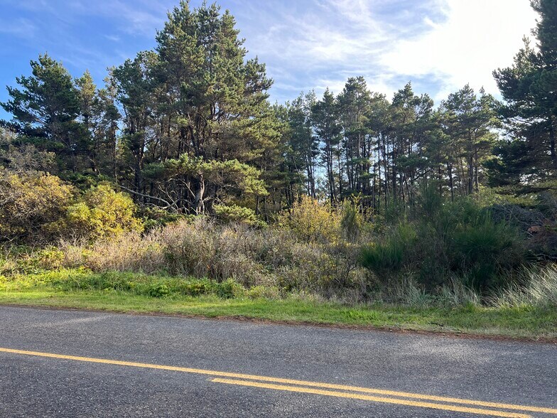 More Photos Of 15 Benner Rd, Copalis Beach Land For Sale