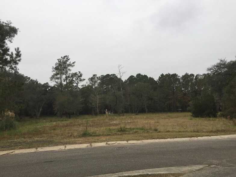 More Photos Of 2020 Old Trolley Rd, Summerville Land For Sale