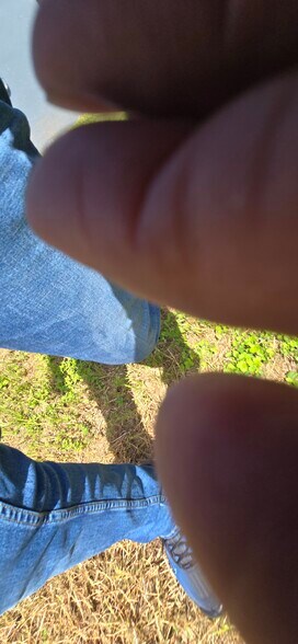 More Photos Of 3404 Dahlia Pl, Largo Apartments For Sale