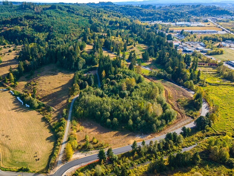 More Photos Of 0 Salzer Creek (was Fair St), Centralia Land For Sale
