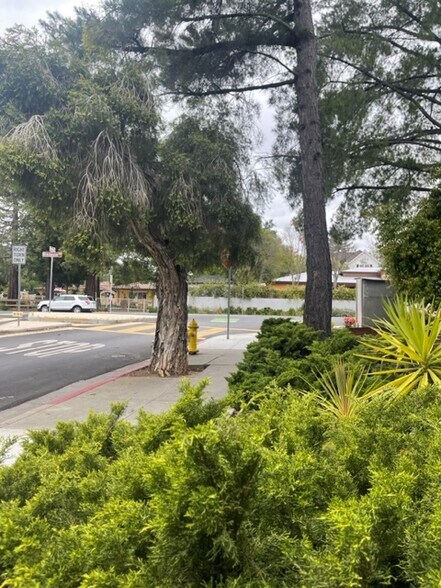 More Photos Of 15750 Winchester Blvd, Los Gatos Office For Lease