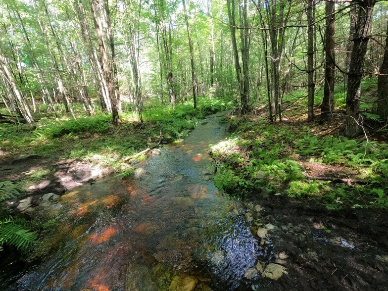 More Photos Of Lot 0 Riverside Dr, Augusta Land For Lease