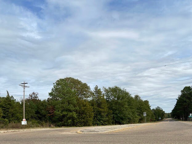 More Photos Of 0 Hwy 41S, Foreman Land For Sale