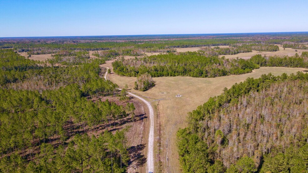 More Photos Of 4597 State 24 rd, Bronson Land For Sale